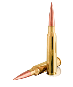 RIFLE AMMO